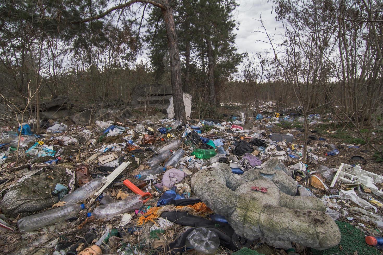 Illegal dumping in forest landscape photo