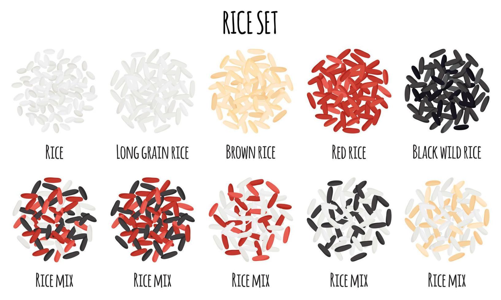 Rice set with White, Red, Brown, Black wild and Long grain rice. vector