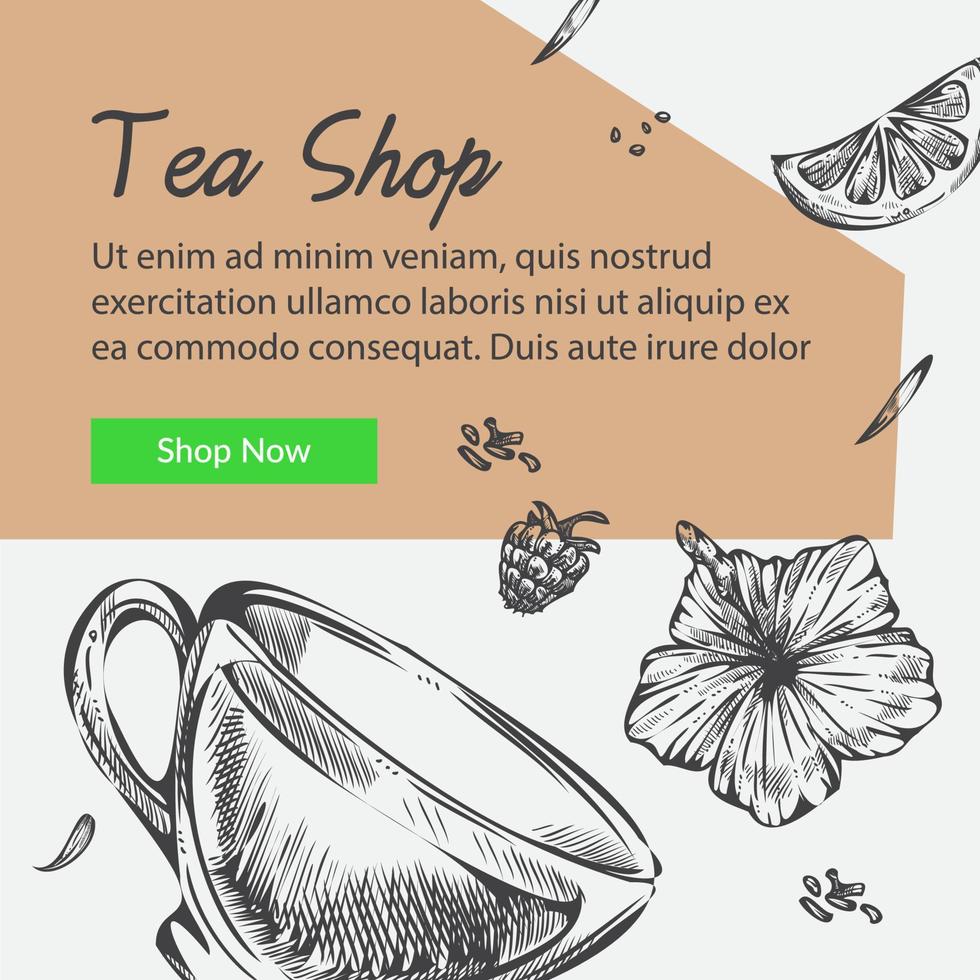 tienda de té con variedad de hierbas y bebidas vector