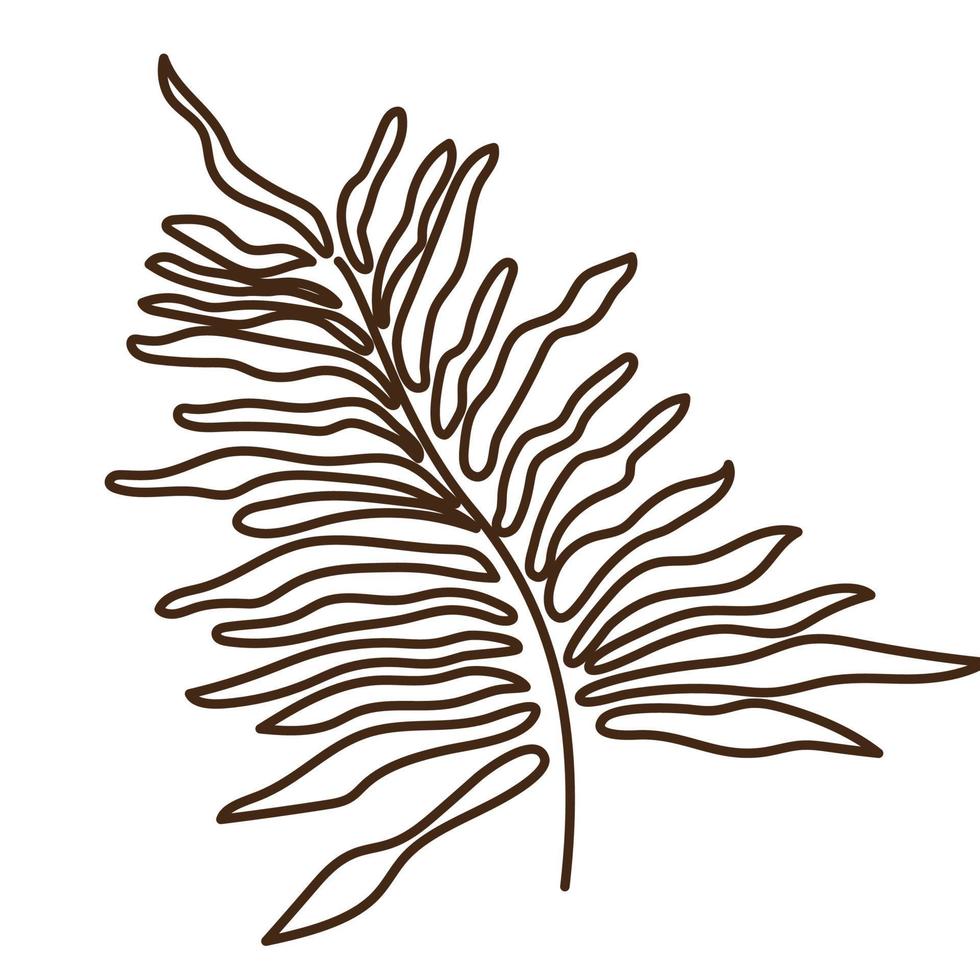 hand drawn shapes and floral leaf design elements. Exotic jungle leaves. vector