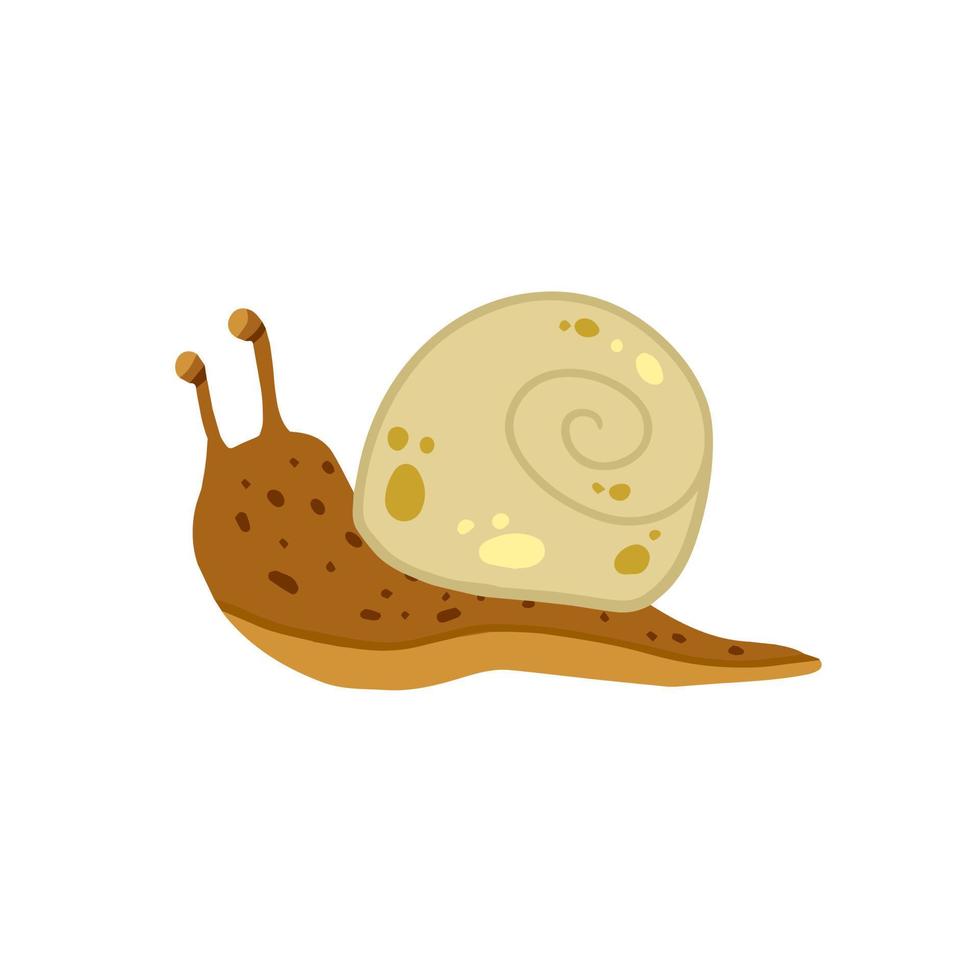 caracol con concha. pequeño insecto marrón. animal lento y viscoso del bosque. vector