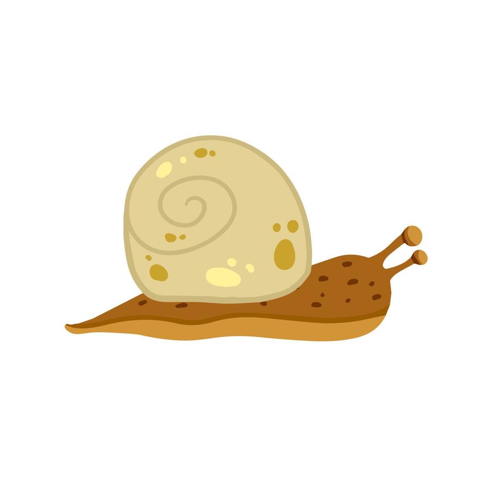 caracol con concha. pequeño insecto marrón. animal lento y viscoso del bosque. vector