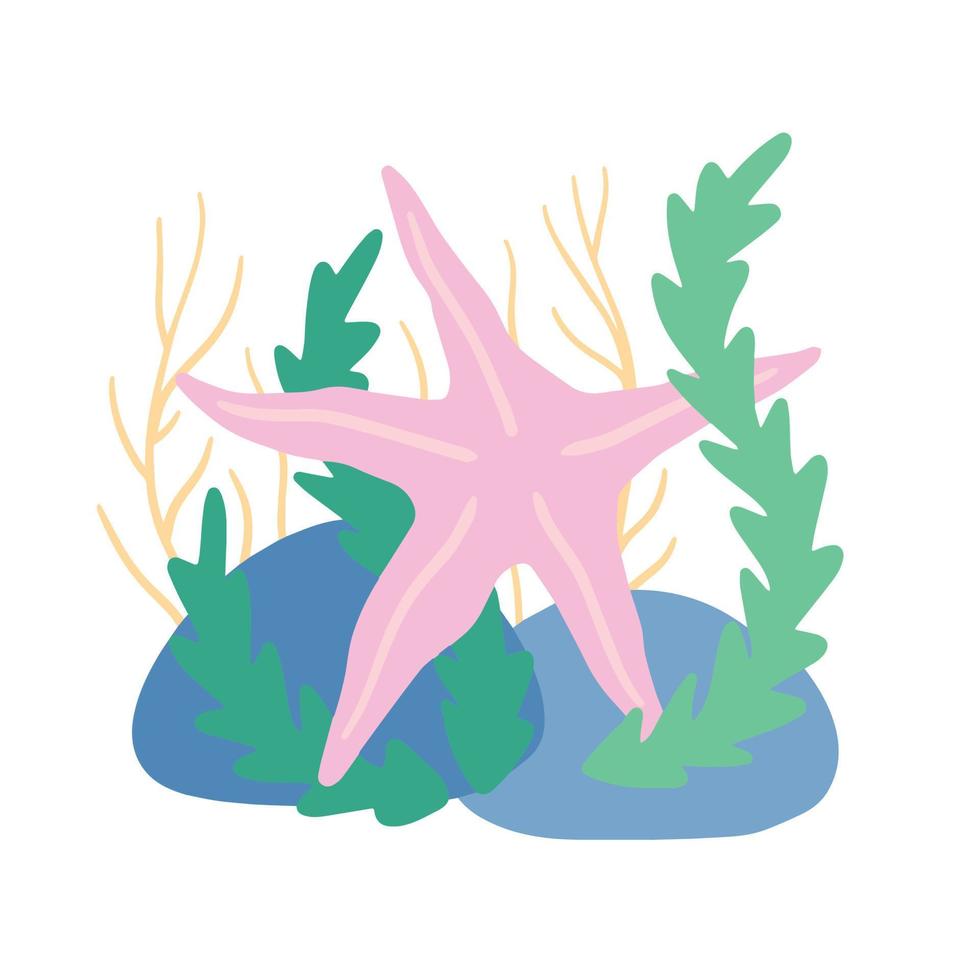 estrellas de mar en fondos marinos con rocas y algas. decoración de agua y océano. ilustración de dibujos animados plana aislada en blanco vector