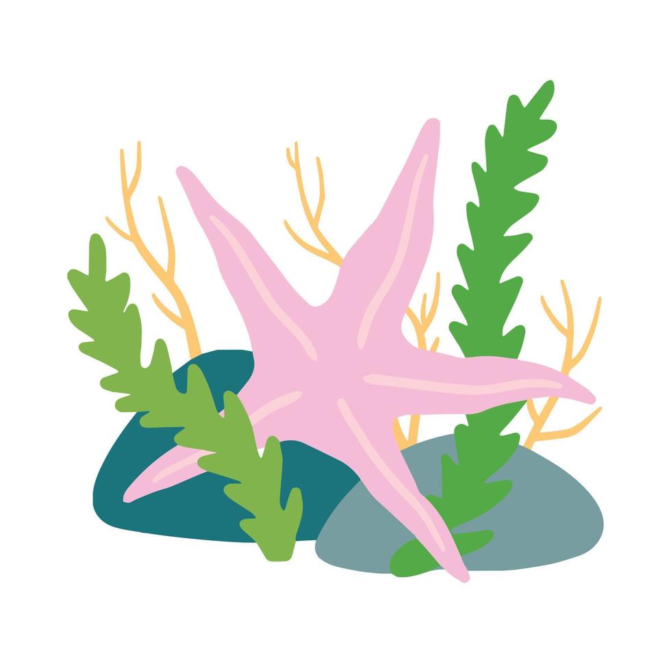 Starfish on seabed with rocks and algae. Decoration of water and ocean. Flat cartoon illustration isolated on white vector