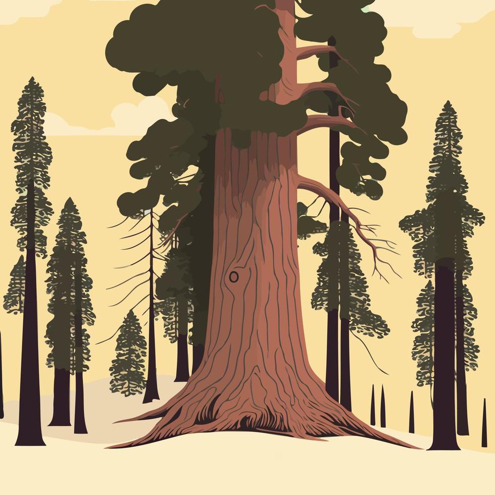 adult giant sequoia tree vector