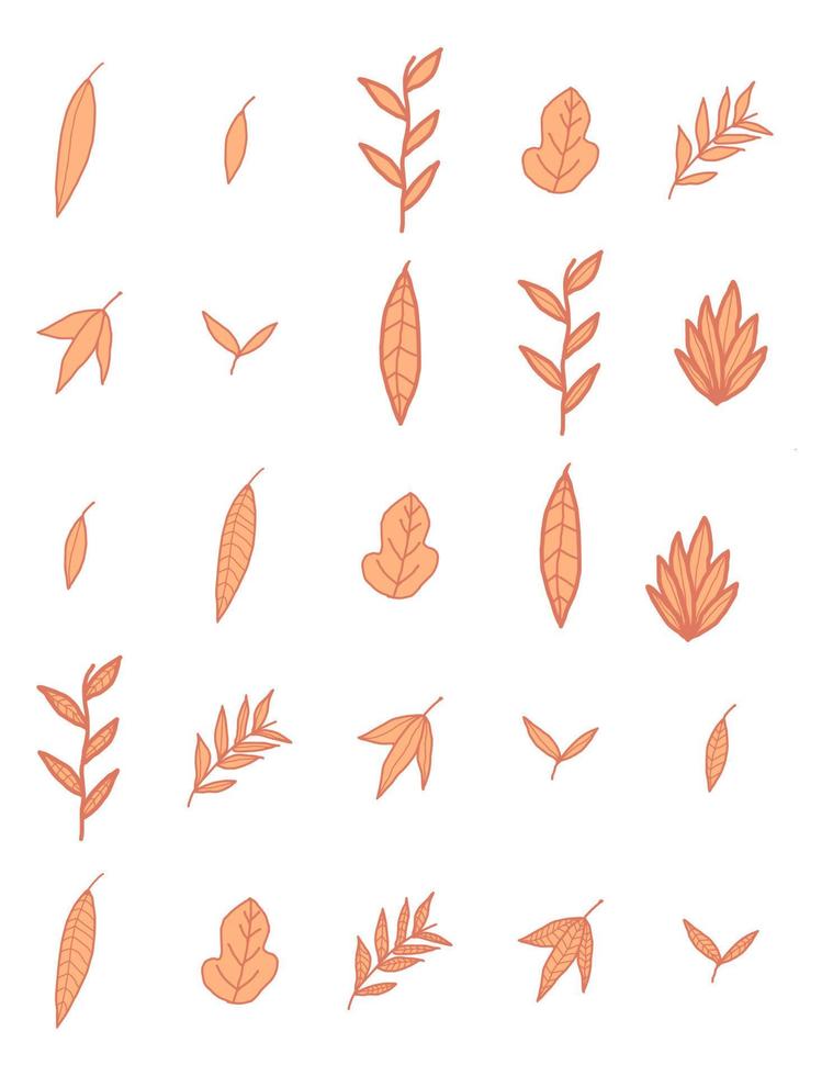 collection of vector illustrations of fall leaf
