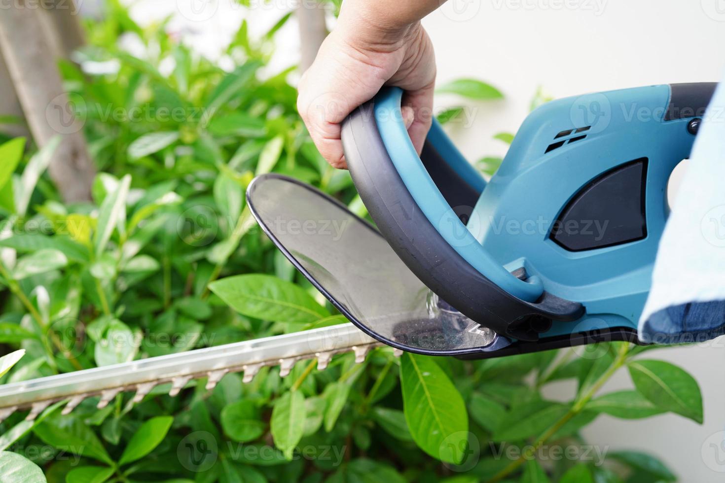 Gardener trimming bush by electric hedge clippers in garden. Hobby at home. photo