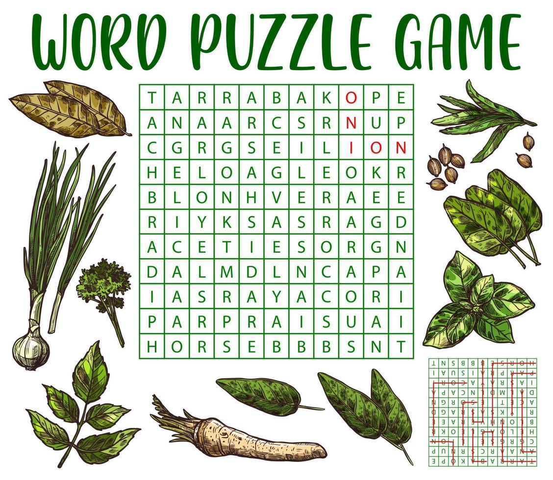 Herbs, spices and seasonings, word search puzzle vector