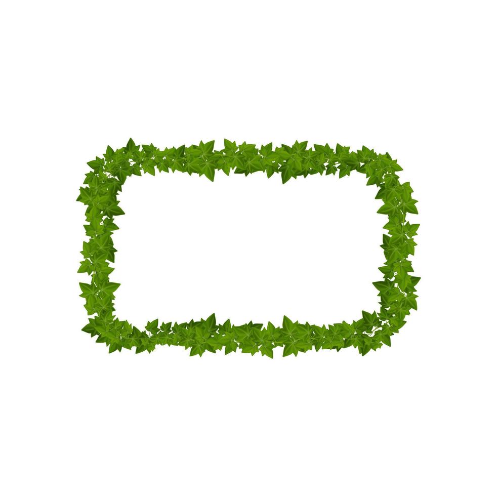 Lianas and ivy green leaves border of frame vector