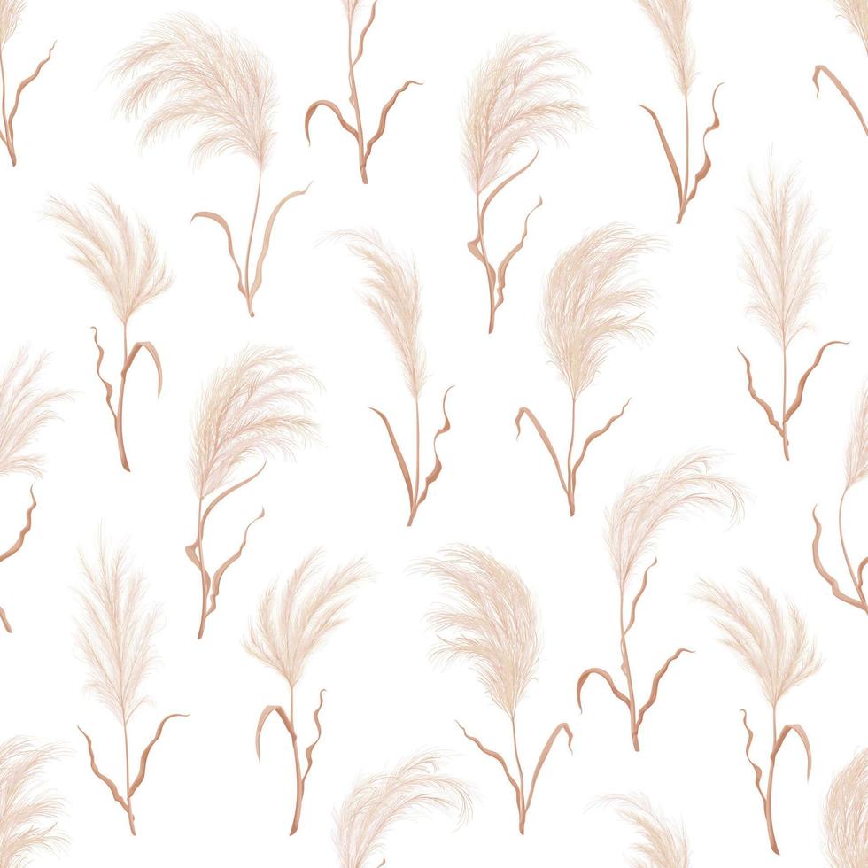 Pampas grass seamless pattern, dry boho background vector