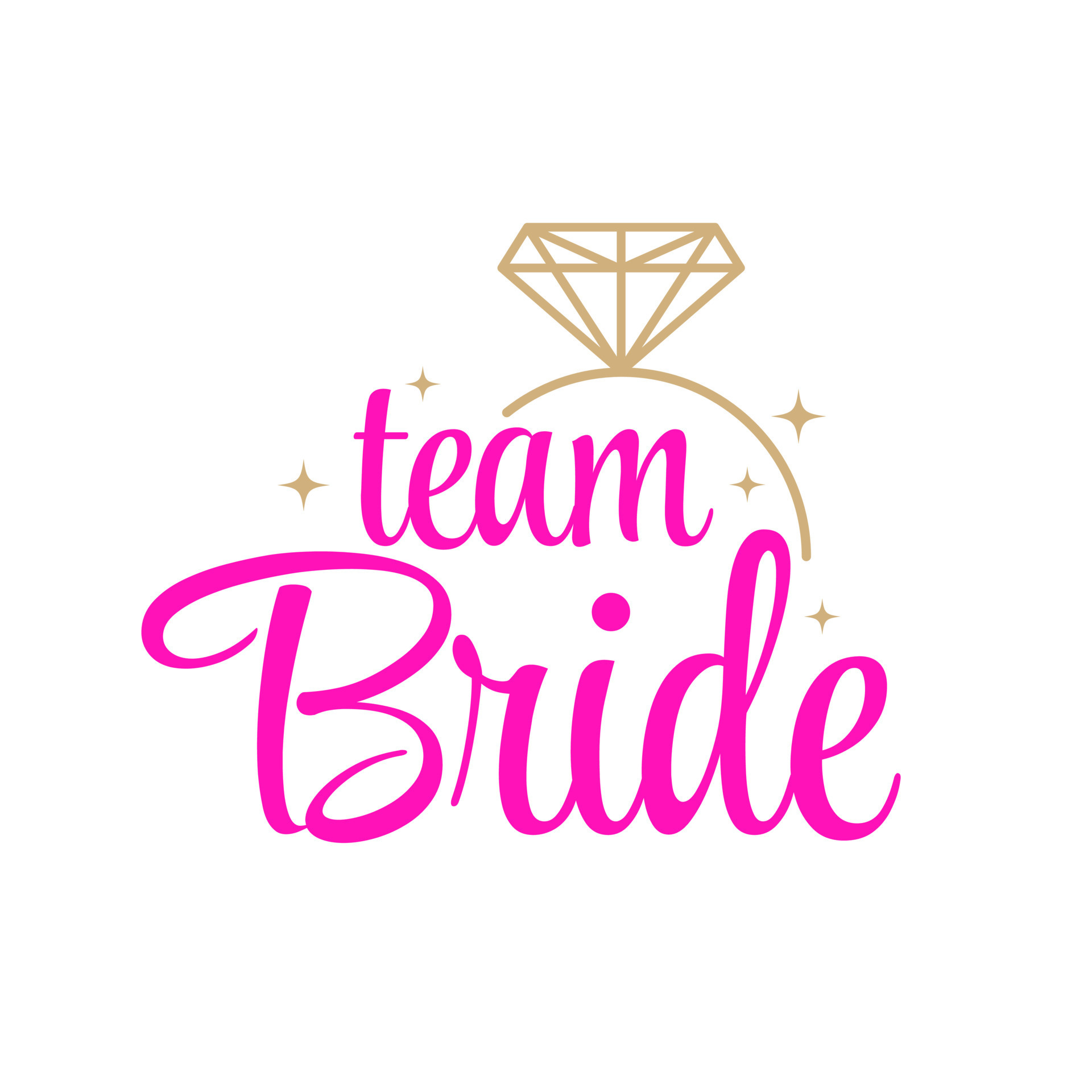 Team bride wedding decoration icon sign banner design vector