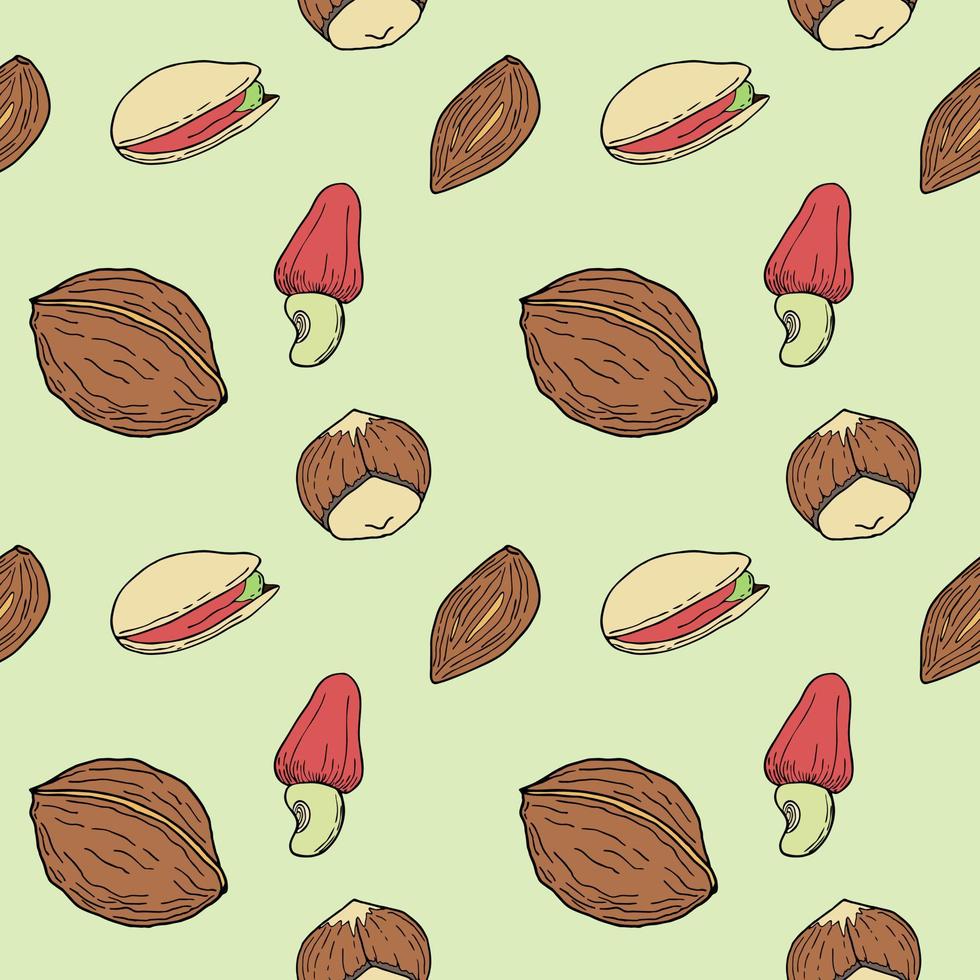 Seamless pattern with Nuts hand drawn doodle - walnut, hazelnut, almond and pistachio. vector