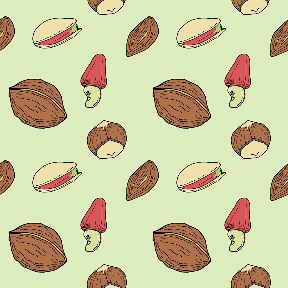 Seamless pattern with Nuts hand drawn doodle - walnut, hazelnut, almond and pistachio. vector