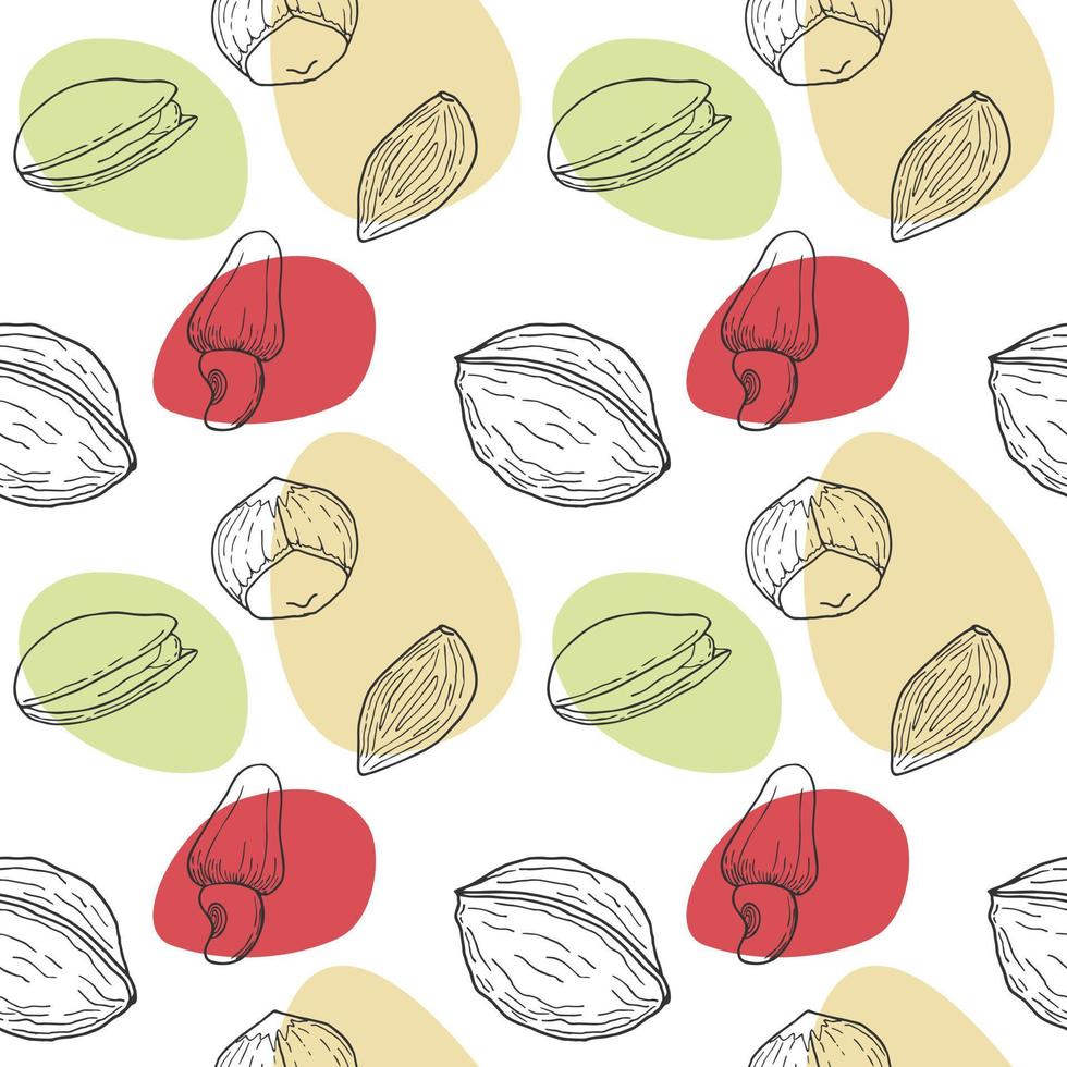 Seamless pattern with Nuts hand drawn doodle - walnut, hazelnut, almond and pistachio. Spots. White background. vector