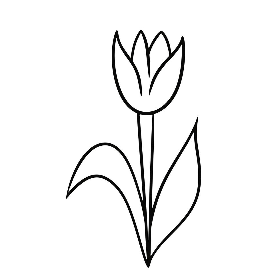 Monochrome tulip flower with leaves, doodle, vector illustration in cartoon style on a white background