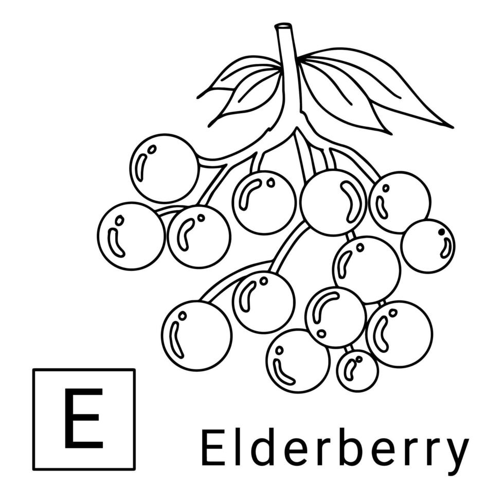 Design coloring page fruit alphabet vector