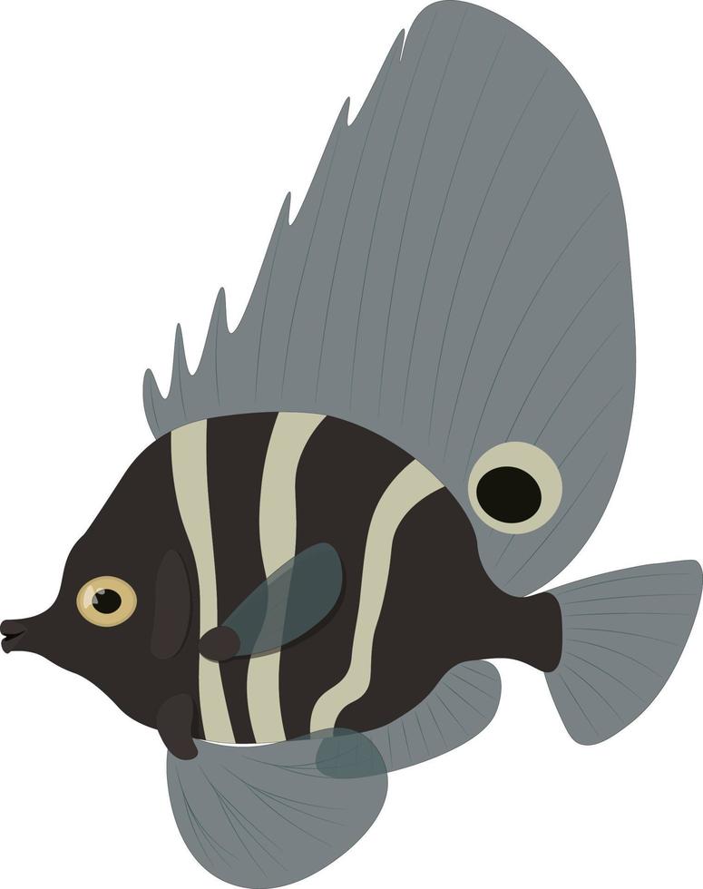 Short boarfish, tropical exotic fish vector illustration
