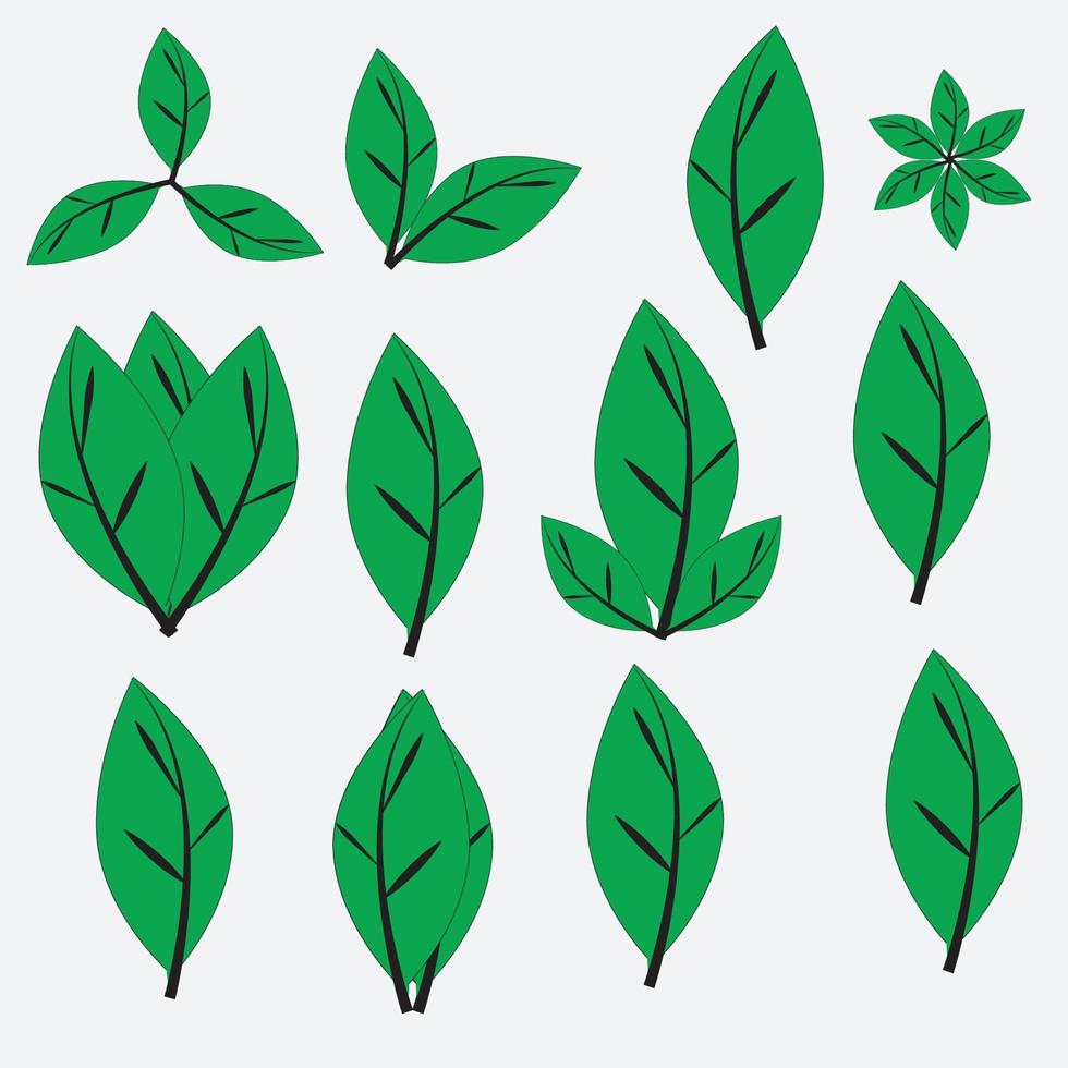 Eco leaf green color vector logo flat icon set. Isolated leaves shapes on white background.