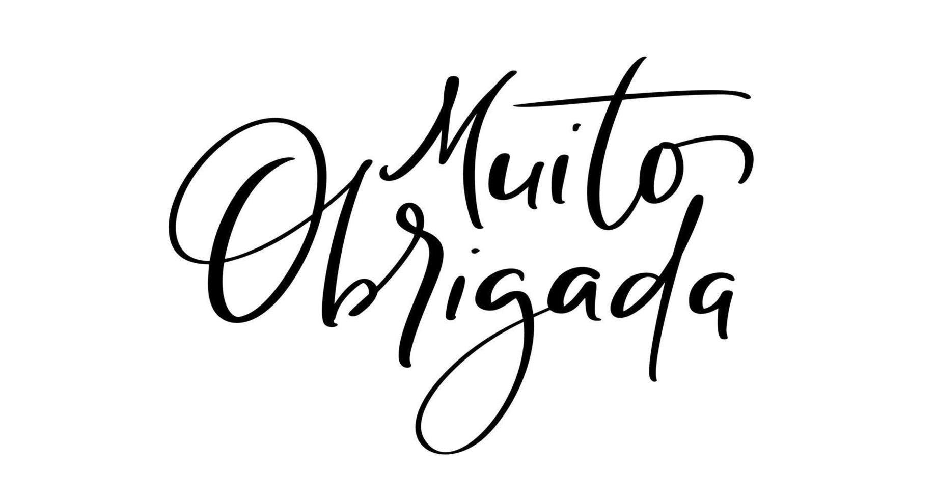 muito obrigada texto de letras manuscritas. muchas gracias en idioma portugués. ilustración de tinta caligrafía de pincel moderno. aislado sobre fondo blanco. palabras de agradecimiento para postales vector