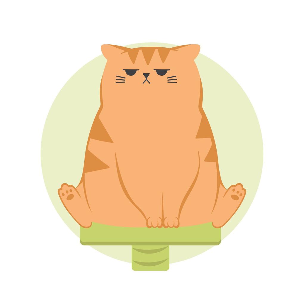 Cute funny grumpy ginger cat. Cat sitting on cats house. Cute funny cartoon cat character in different poses. vector