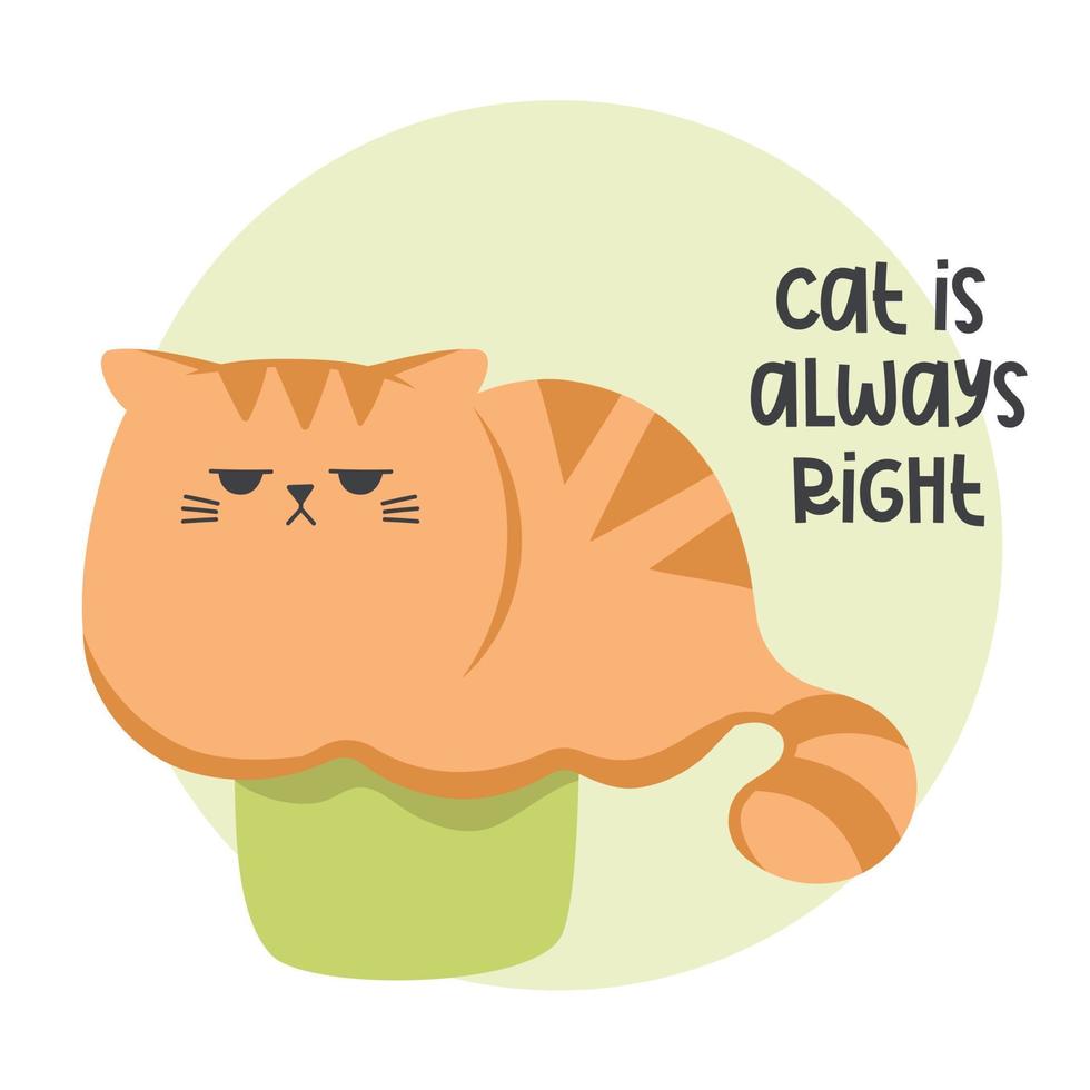 Cute funny grumpy ginger cat in the paper box. Cats sitting, sleeping and playing in cardboard box. Cute cartoon character in different poses with box. vector