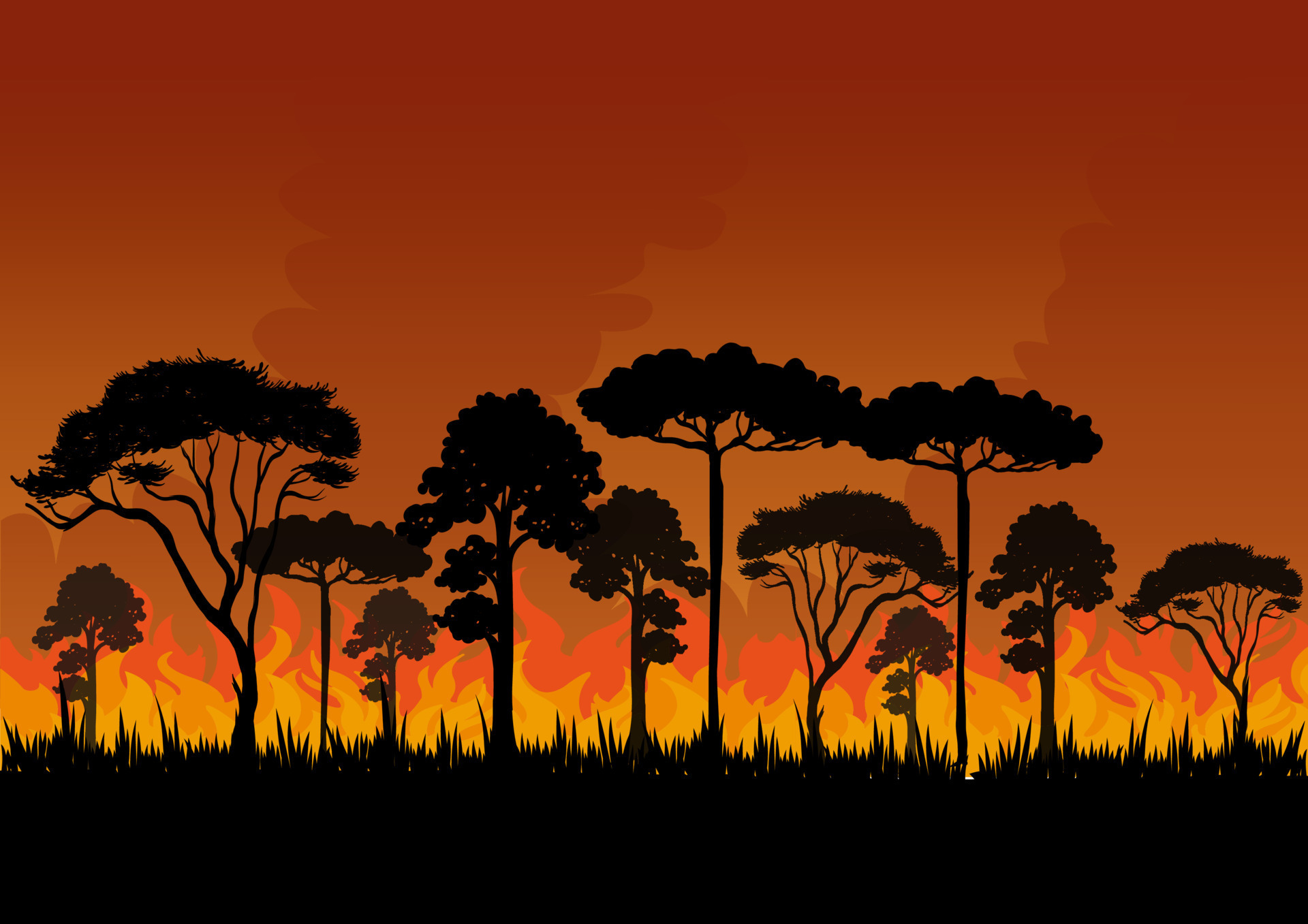 A forest fire and burning trees on orange silhouette background, vector