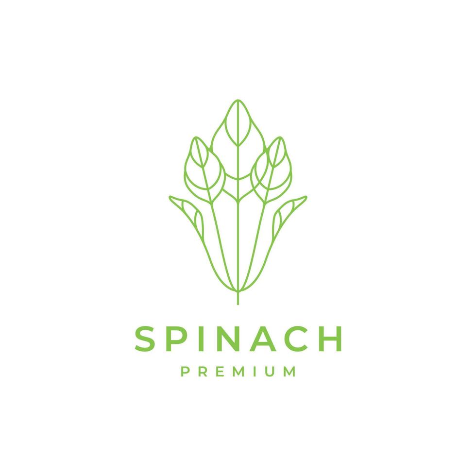 vegetables green spinach fresh nature food health lines minimalist logo design vector icon illustration template