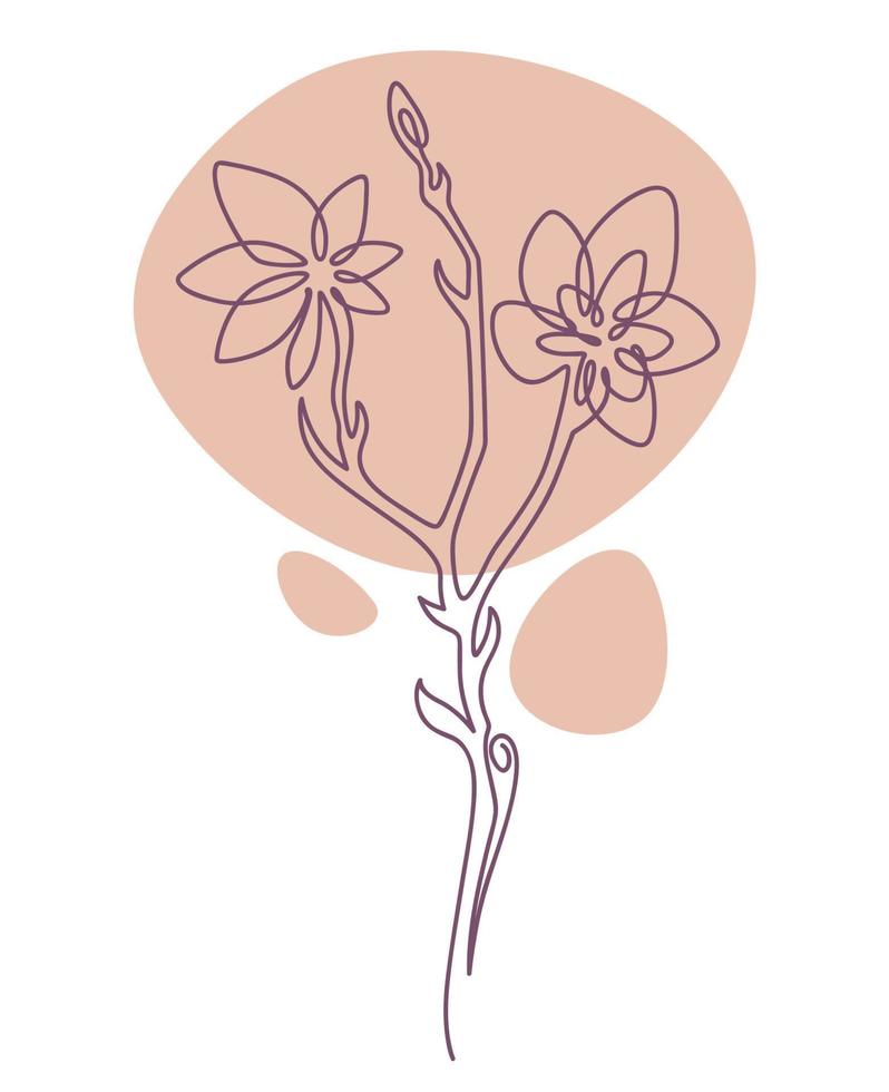 Botany minimalist sketch, spring flower blossom vector