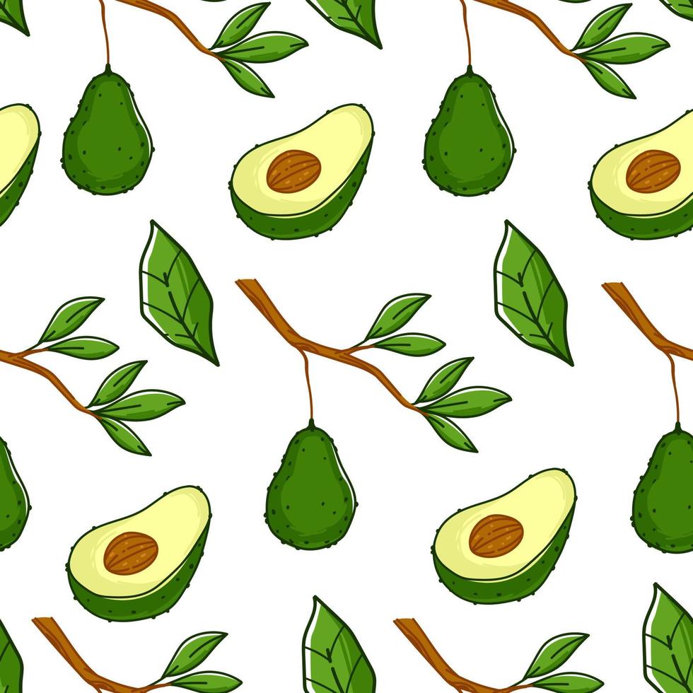 Ripe avocado plant, growing on branch pattern vector