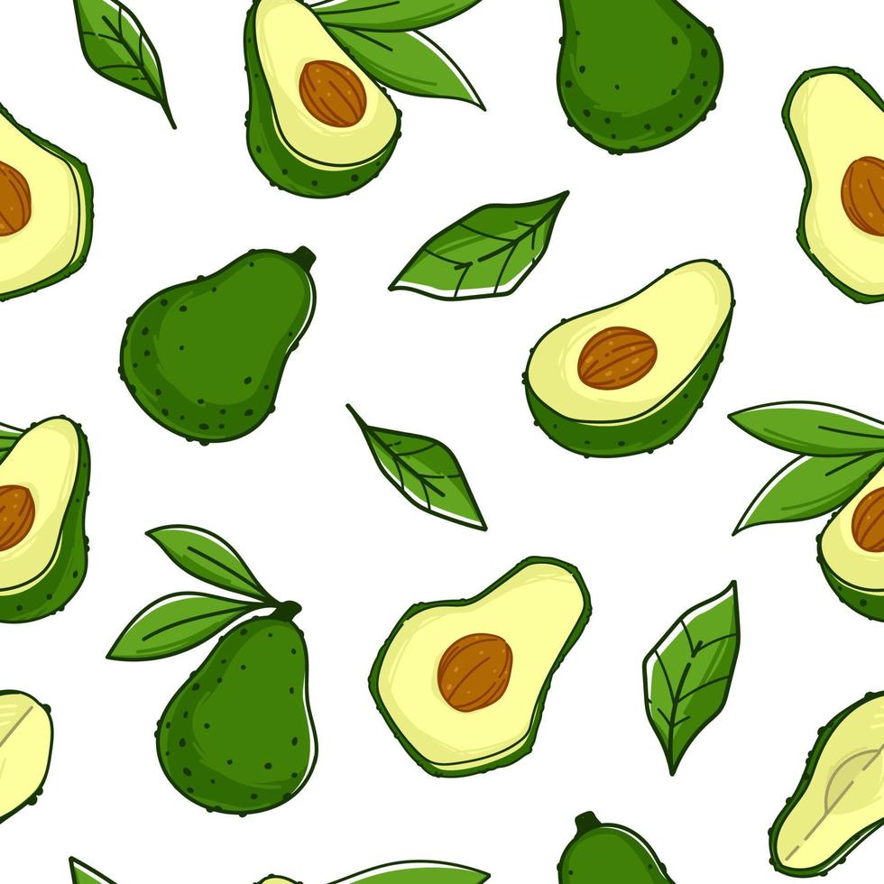 Avocado plant, organic ingredient fruit pattern vector