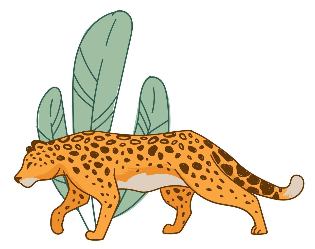 Hunting cheetah, feline animal hiding by leaves vector