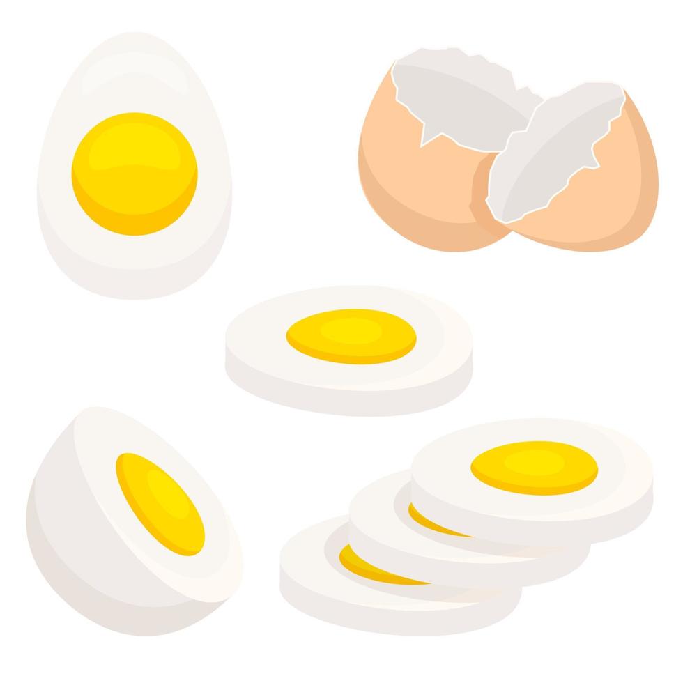 Chicken egg. Vector illustration in modern flat style. The icon is isolated on a white background. For your design.