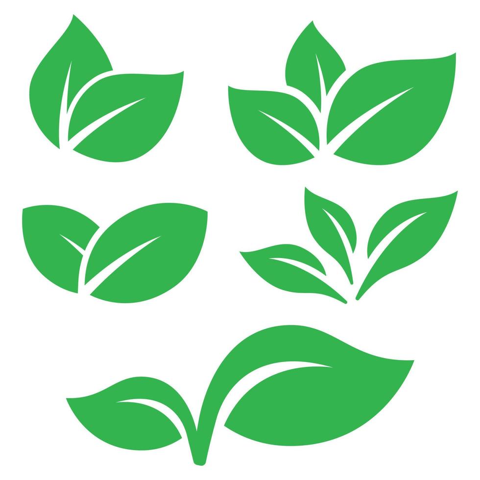 Set Of Ovelapping Eco Leaves vector