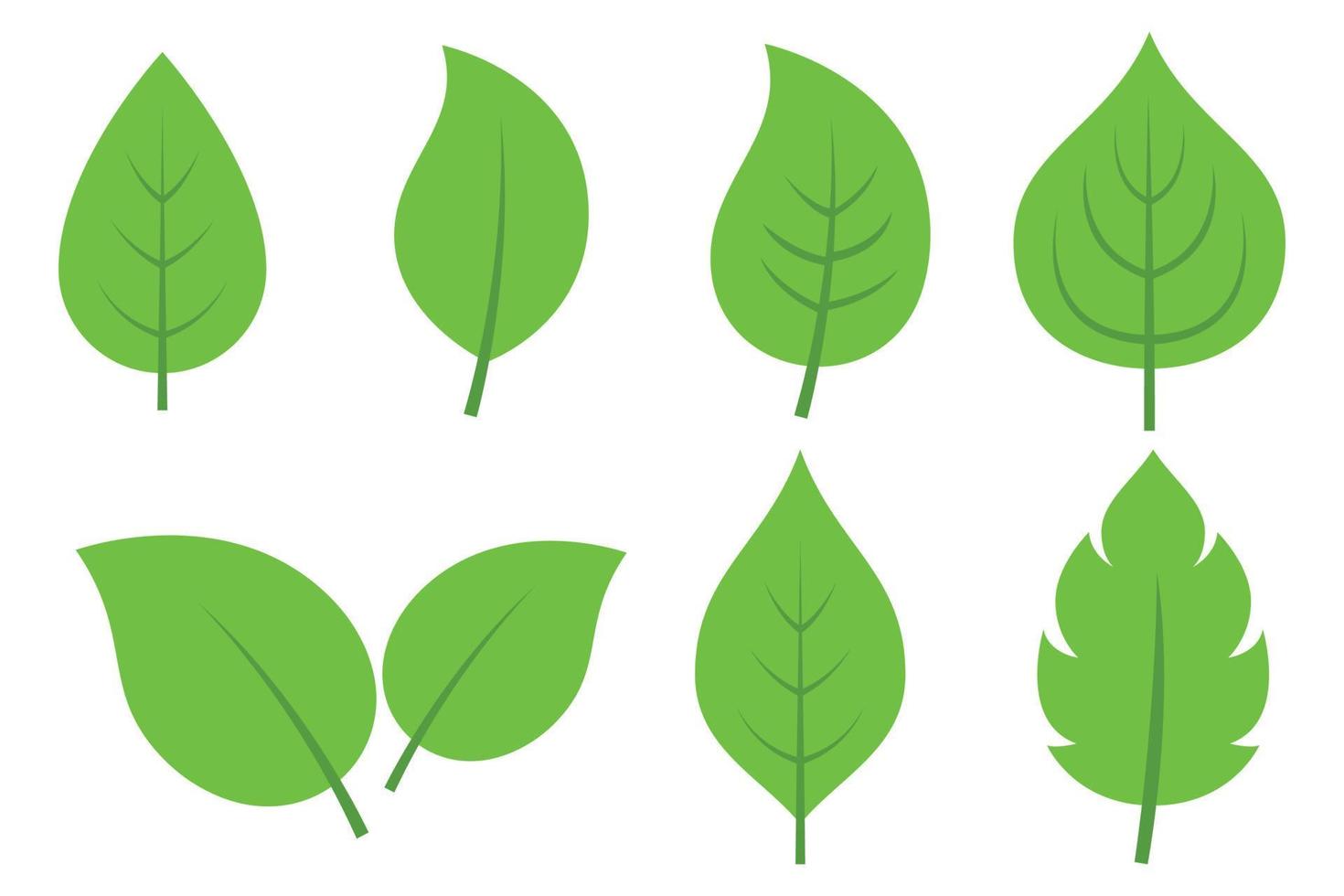 conjunto de hojas verdes de diferentes estilos vector