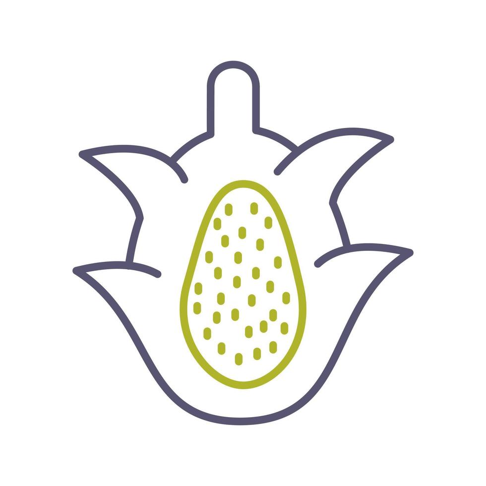 Dragon Fruit Vector Icon