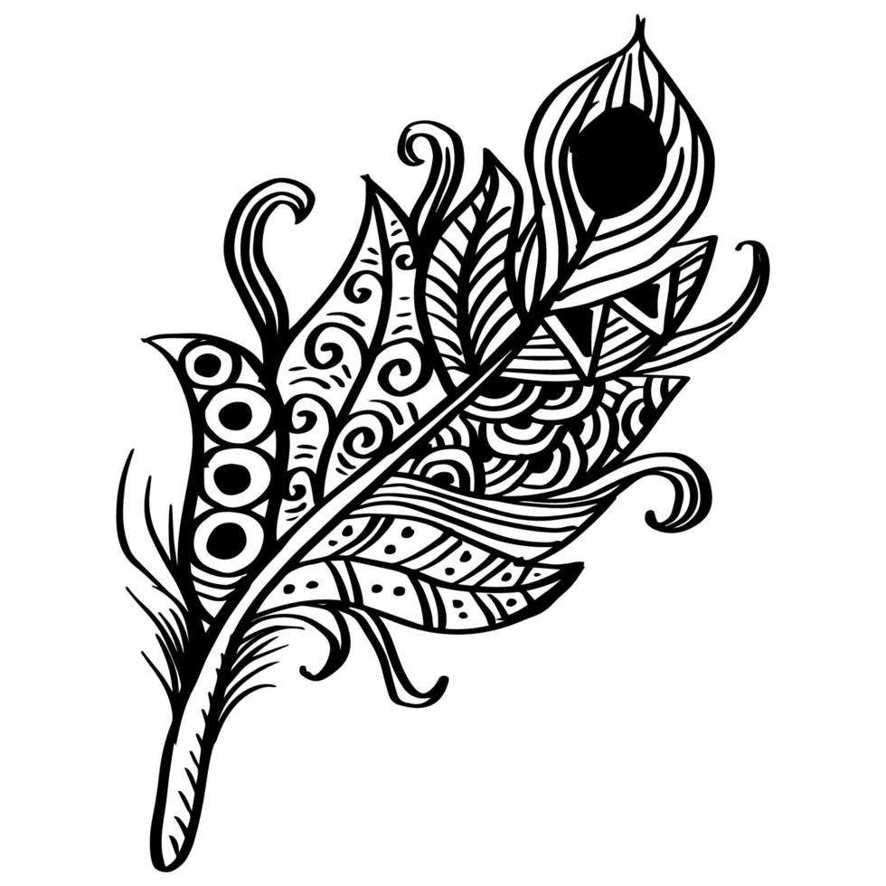 Hand drawn feather decorative illustration vector