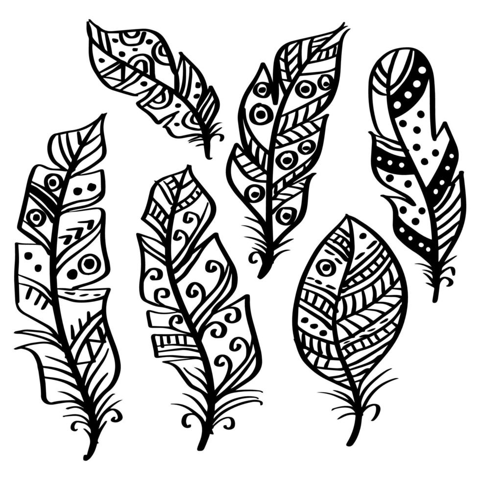 Hand drawn bird feathers set vector