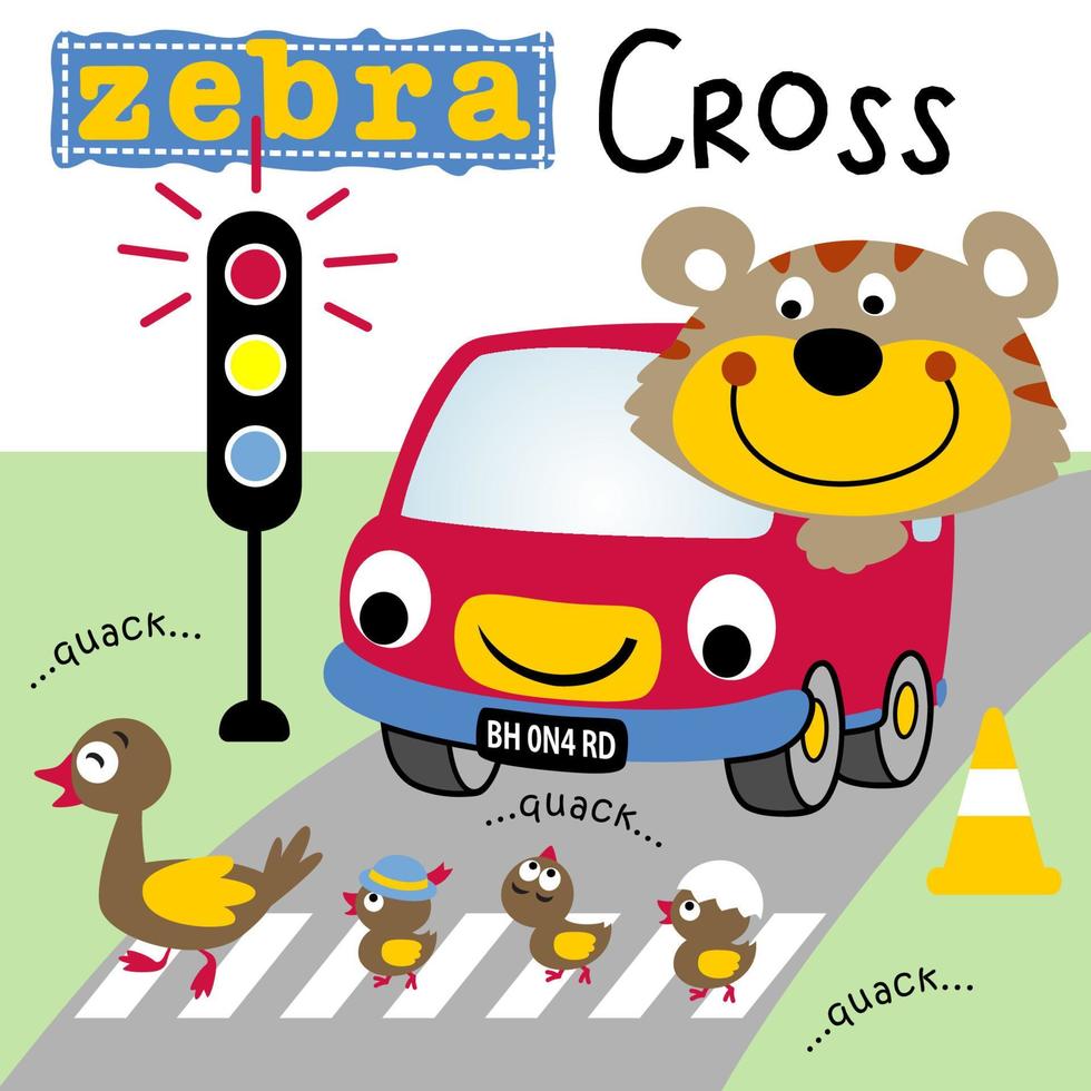 lindo tigre en camión gracioso, familia de patos cruzando la carretera en el semáforo encendido, ilustración de dibujos animados vectoriales vector