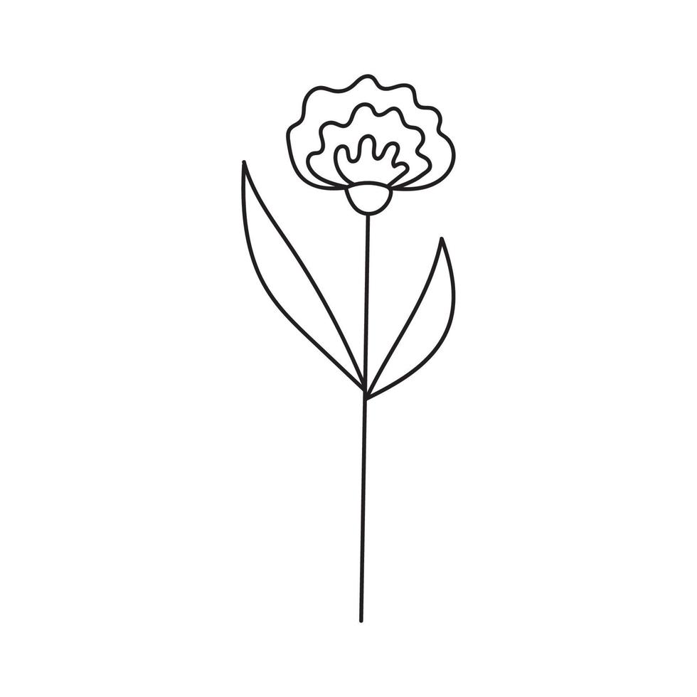 Hand drawn illustration of flowers vector