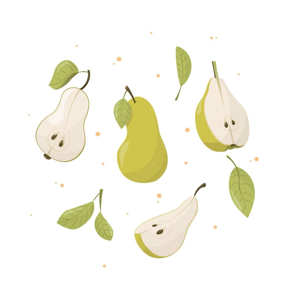 colección de frutas de verano, conjunto de peras vectoriales, vector de pera. doodle de fruta fresca del jardín, comida vegana orgánica orgánica