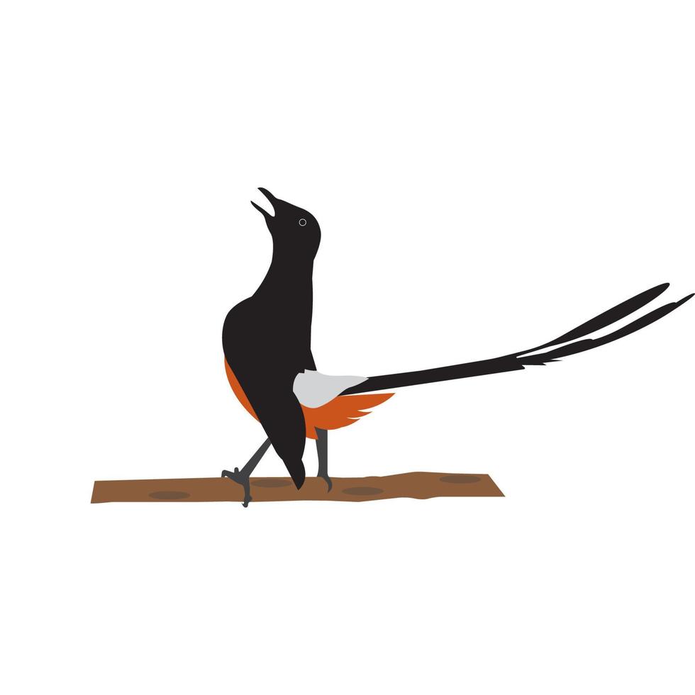 pretty chirping bird icon vector