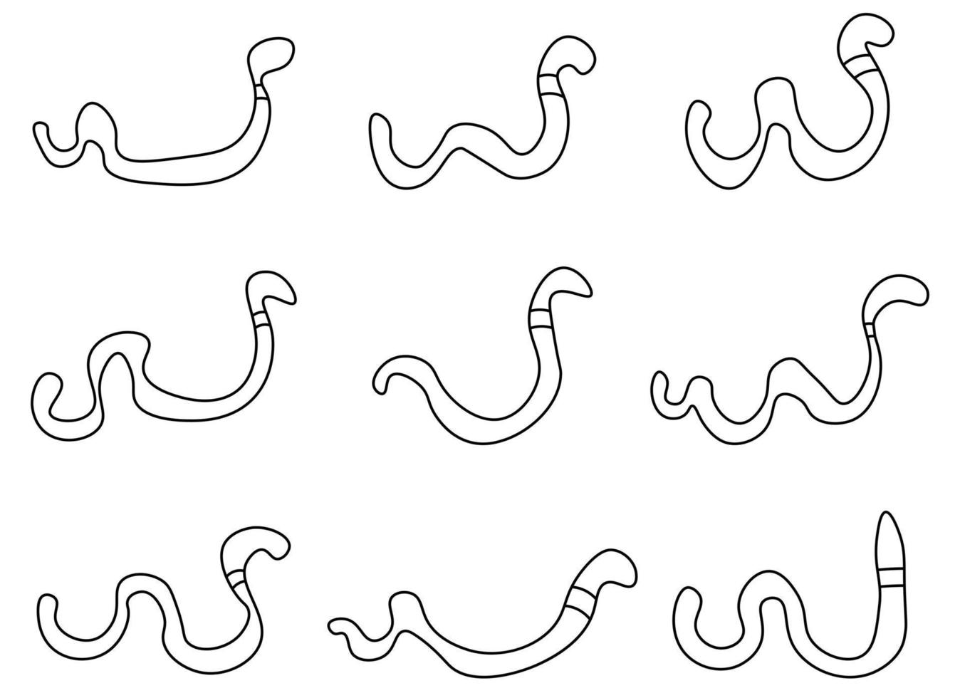 worm design illustration isolated on white background vector