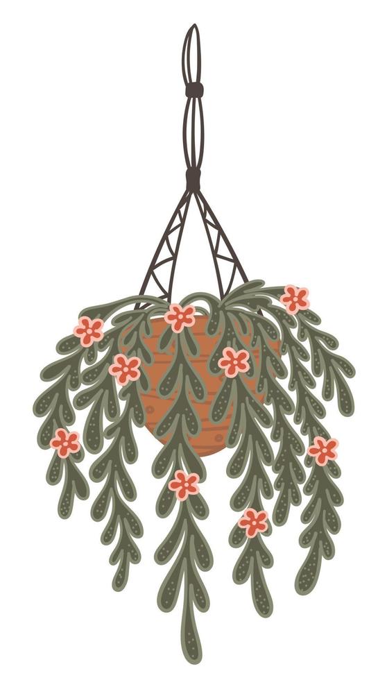 Hanging houseplant in pot and net, decor for home vector