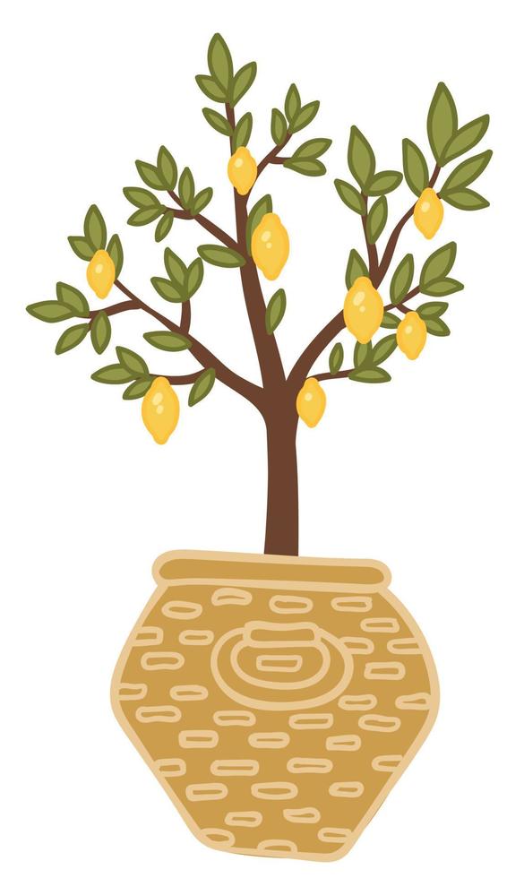 Lemon tree with leaves, potted plant for home vector