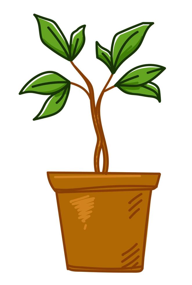 Growing tree plant in pot, agriculture and hobby vector