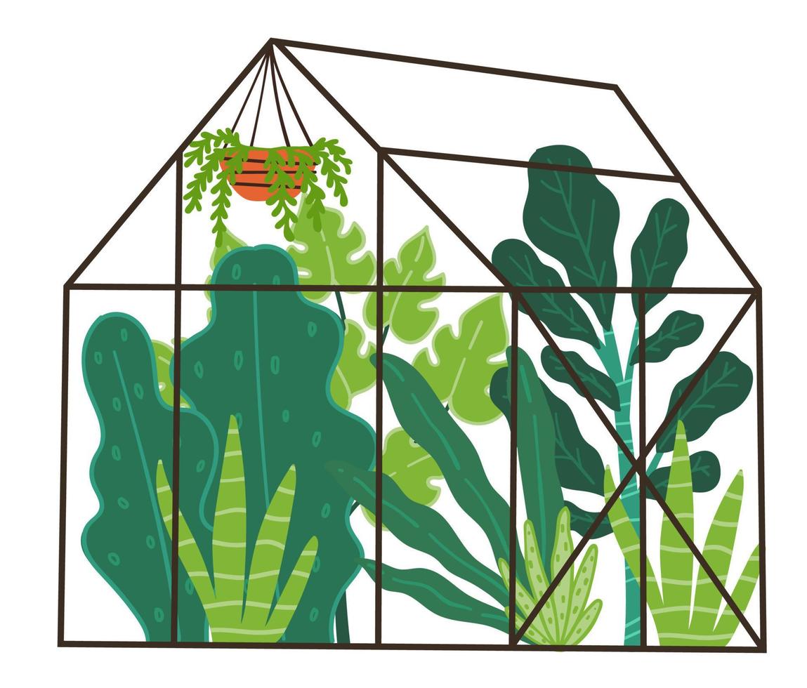 Orangery with green plants and botany leafage vector