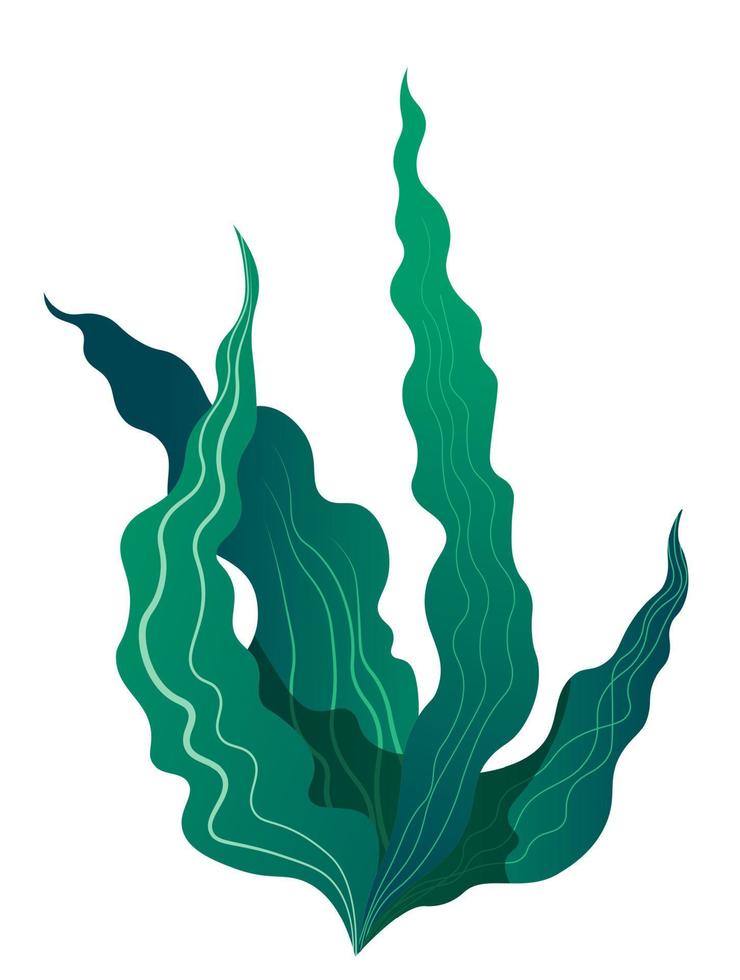 flora de algas tropicales para acuario o fondo marino vector