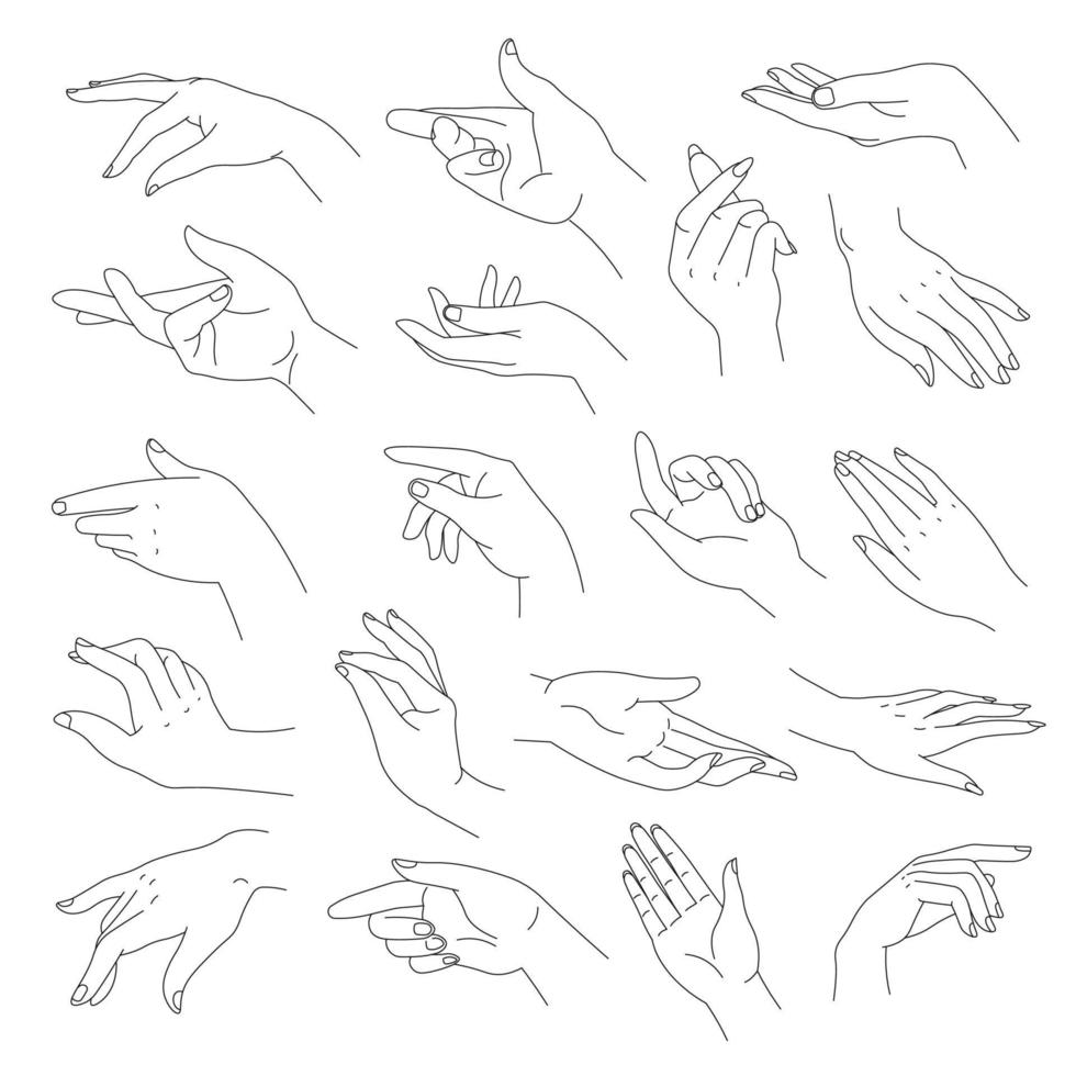 manos elegantes y tiernas con los dedos, vector