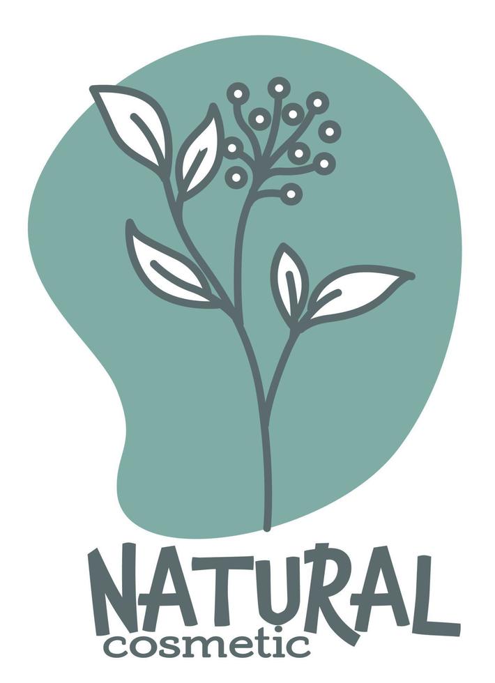 Natural cosmetics with bio ingredients vector