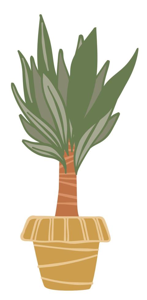 Decorative flora houseplant in pot, decor for home vector